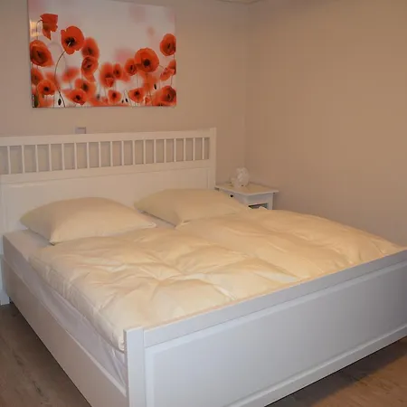 Hohensteiner Hof מלון