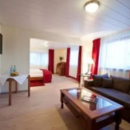 Hohensteiner Hof מלון